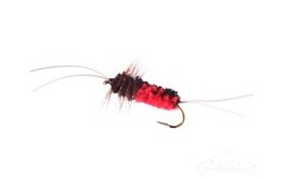 Bitch Creek Nymph Fl