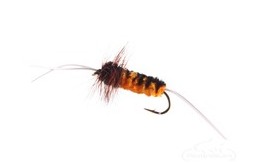 Bitch Creek Nymph Orange