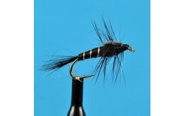 Black Mayfly Nymph