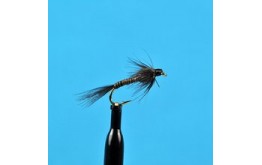 Black Quill Nymph