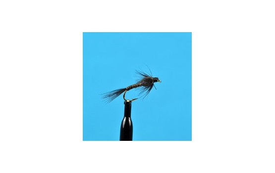 Black Quill Nymph