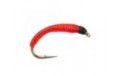 Bloodworm