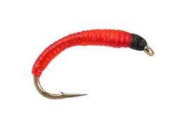 Bloodworm