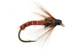 Brown Ripped Clasic Nymph