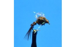 Bubble Back Emerger