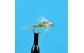 BWO Nymph
