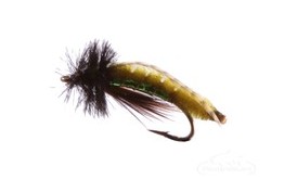 Caddis Poopah Olive