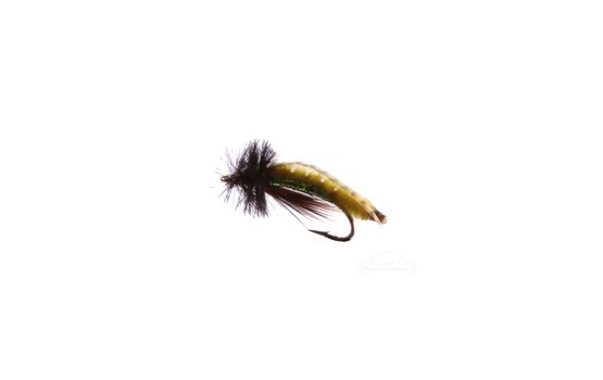 Caddis Poopah Olive