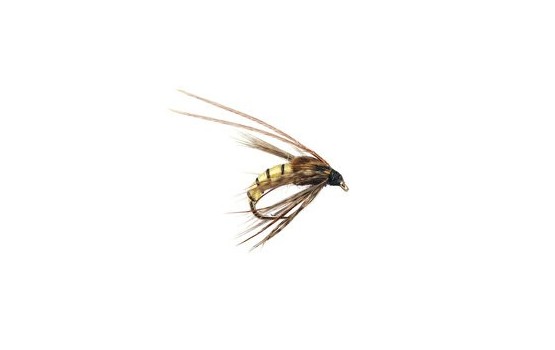 Caddis Pupa Cream
