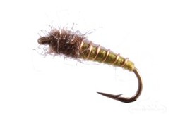 Caddis Pupa Electric Olive