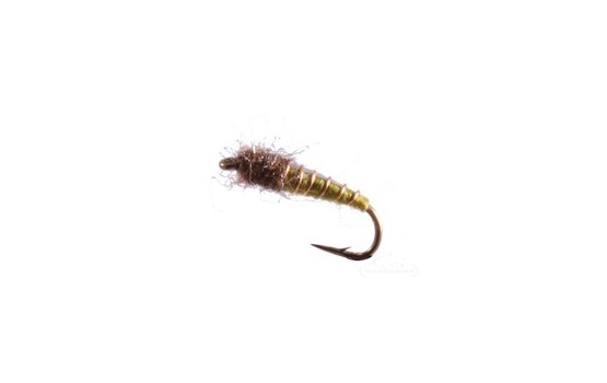 Caddis Pupa Electric Olive