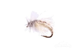 Caddis Pupa Z Wing Cream