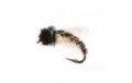 Caddis Pupa Z Wing Green