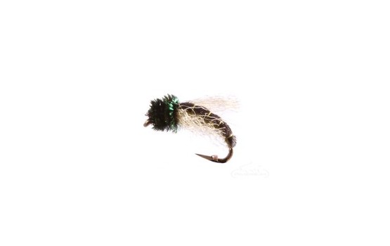 Caddis Pupa Z Wing Green