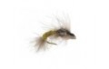 CDC Emerger Olive