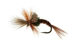 Challenged Mayfly Emerger Dry Fly