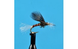 Chironomid Pupa Brown