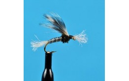 Chironomid Pupa Grey