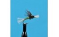 Chironomid Pupa Olive