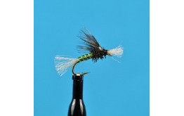 Chironomid Pupa Olive