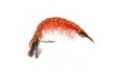 Classic Gammarus Fluo Orange