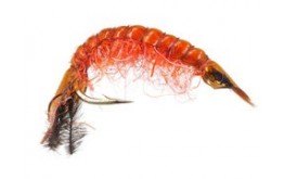 Classic Gammarus Fluo Orange