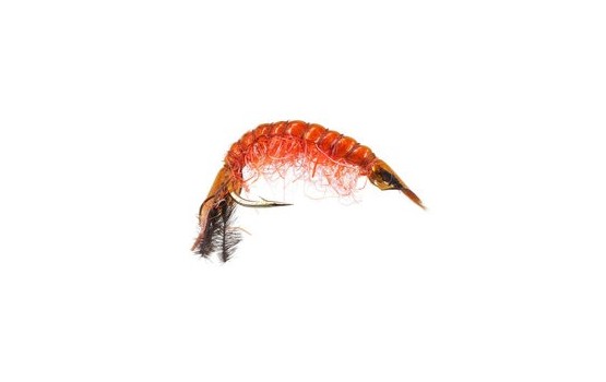 Classic Gammarus Fluo Orange