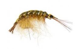 Classic Gammarus Olive
