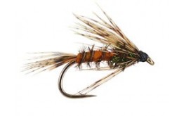 Classic Peacock Nymph