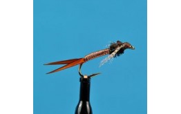 Copper J Nymph