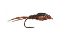 Copper Pheasant Nymph