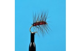 Crackle Back Red Holographic