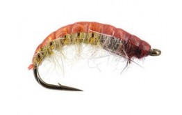 Czech Nymph Superb Terra