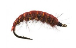 Dark Brown Ribbed Dream