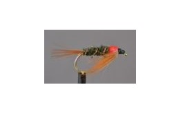 Diawl Bach   Red Neck