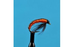 Eastern European Grub