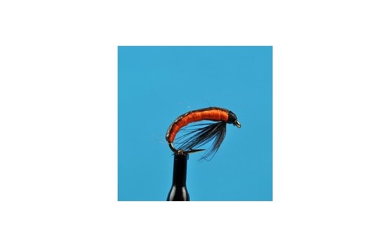 Eastern European Grub