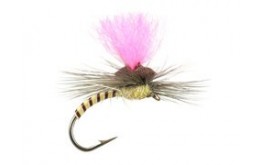 Cream Synquill Klinkhamer