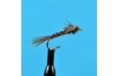 Flash Back Pheasant Tail