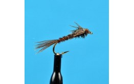 Flash Back Pheasant Tail