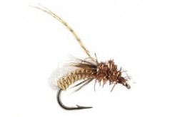 Gallatin Glo Pupa Spotted Sedge