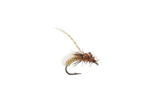 Gallatin Glo Pupa Spotted Sedge