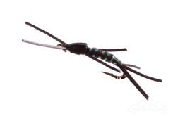 Ghost Nymph Black