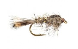 Gold Ribbed Hares Ear