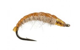 Golden Czech Nymph Superb