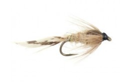 Grey Tailed Classic Nymph