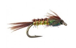 Kyles Spring Creek Superflash Pheasant