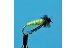 Little Green Rock Worm