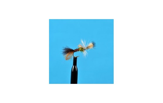 Cripple Pale Morning Dun