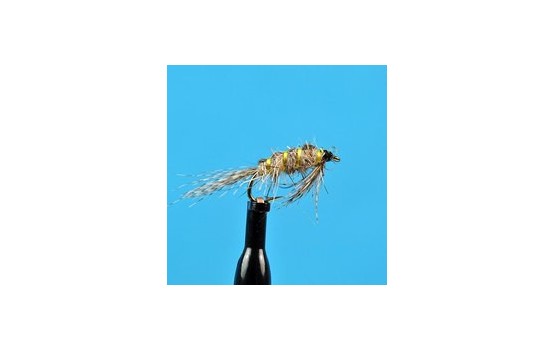 Longtail March Brown